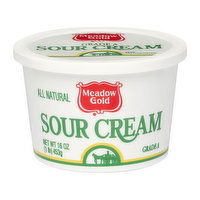 Meadow Gold Sour Cream, 16 Ounce