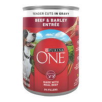 Purina ONE Natural Wet Dog Food Gravy, Tender Cuts in Gravy Beef and Barley, 13 Ounce