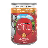 Purina ONE Tender Cuts in Wet Dog Food Gravy Chicken and Brown Rice, 13 Ounce