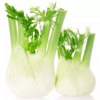 Fennel, Local Organic, 0.5 Pound