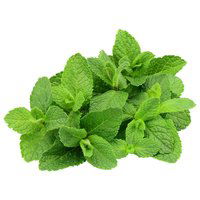 Local Mint, 1.5 Ounce