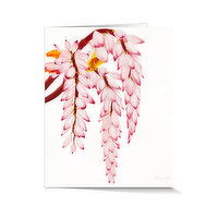 Aloha De Mele Shell Ginger Card, 1 Each