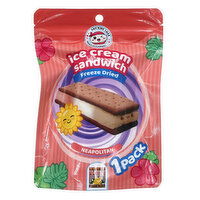 Any Kine Snax Freeze Dried Neapolitan Ice Cream Sandwich, 1 Each