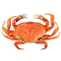 Dungeness Crab, Cooked, 1 Pound