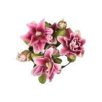 Rose Lilies, 3-Stem, 1 Each