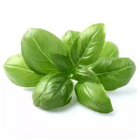 Local Sweet Basil, 2 Ounce