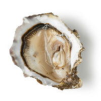Sea Inlet Oysters, 1 Each