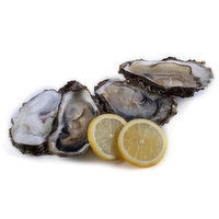 Oyster, Kumamoto, 1 Each