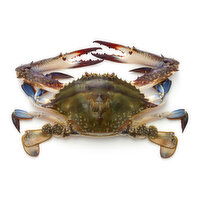 Whole Blue Crab Med, 1 Pound