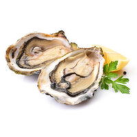 Higata Oysters, 1 Each