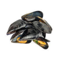 Live Baja Mussels, 1 Pound