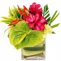 Floral ,"Makana" Arrangement, 1 Each