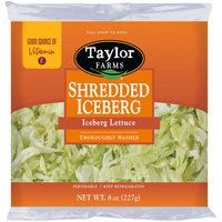 Taylor Farms Shredded Iceberg Lettuce, 8 Ounce