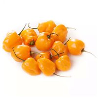 Habanero Pepper, 0.04 Pound