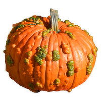 Warty Goblin Pumpkin, 1 Each