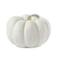 Pumpkin, Local White Mini Each, 1 Each