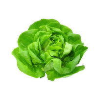 Lettuce, Local Buttter Hydroponic H-1, 0.4 Pound