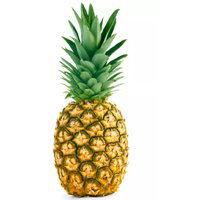 Perola Pineapple, 1 Pound