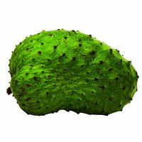 Soursop, 12 Pound