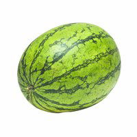 Whole Mini Watermelon, Seedless, 6 Pound