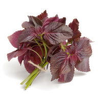 Metro Grow Red Shiso, 1 Ounce