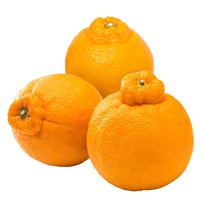 Mandarin, Sumo, 0.6 Pound