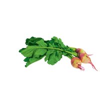Radish, Watermelon Local, 1 Pound