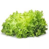 Sensei Local Crystal Lettuce, 1 Each