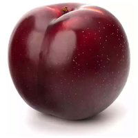 Organic Red Plums, Large, 0.5 Pound