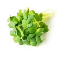 Kula Micro Broccoli Sprouts, 2 Ounce