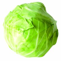 Green Head Cabbage, Local, 3.5 Pound