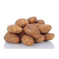 Russet Potato