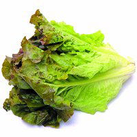 Red Leaf Lettuce, 1 Each