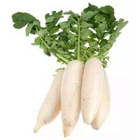 Radish, 1 Each