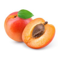 Apricot, Local, 1 Pound