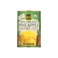 Native Forest Organic Pineapple Chunks, 14 Ounce