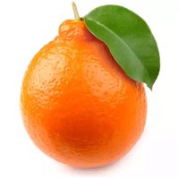 Minneola Tangelos, 0.4 Pound