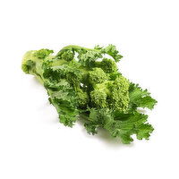 Rapini, 1 Each