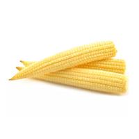 Baby Sweet Corn, 1 Each