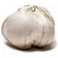 Elephant Garlic, 1 Each