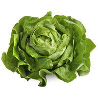 Organic Manoa Lettuce Clamshell, 1 Each