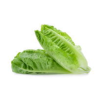 Lettuce, Romaine Local Petite, 1 Pound