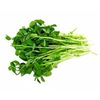 Hydro Pea Shoots, 1 Each