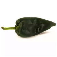 Poblano Pasilla Pepper