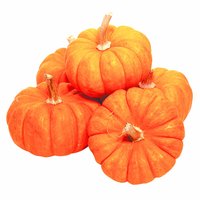 Mini Pumpkin, 1 Each