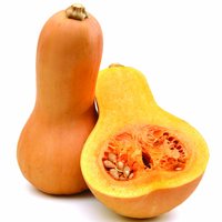 Butternut Squash, 2 Pound