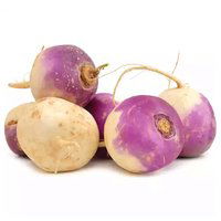 Daikon, Chinese Turnip, 1.5 Pound