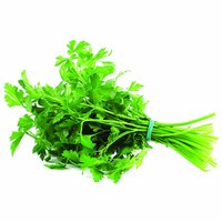 Cilantro, 1 Each