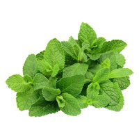 Mint, 0.125 Ounce