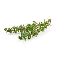 Thyme Herb, 1.5 Ounce